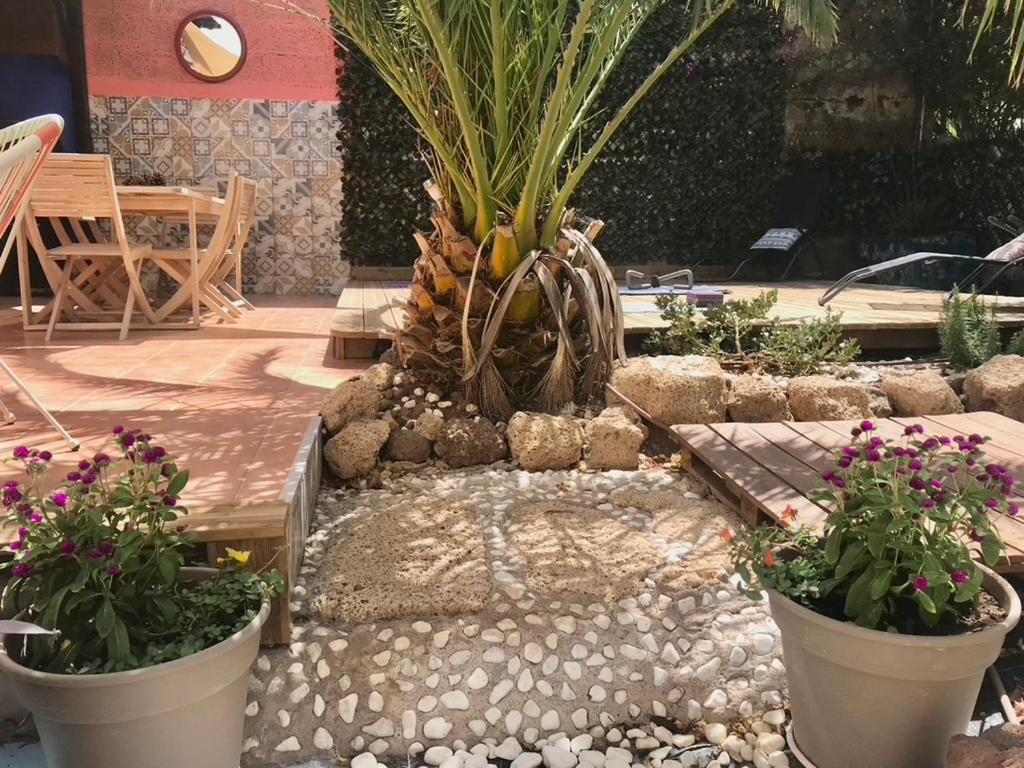 Casa Vivaqi Tenerife Гранаділья-де-Абона Екстер'єр фото